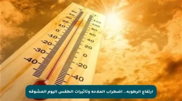 ارتفاع الرطوبة.. اضطراب الملاحة وتأثيرات الطقس اليوم المشوقة